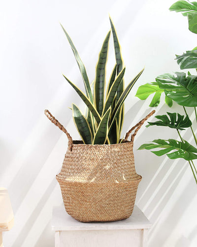 Woven Seagrass Multi-Functional Belly Basket