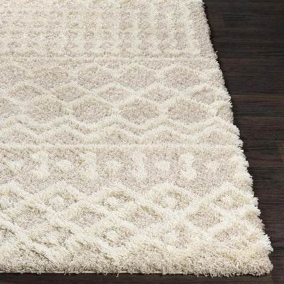 Hapsburg Moroccan Shag Rug