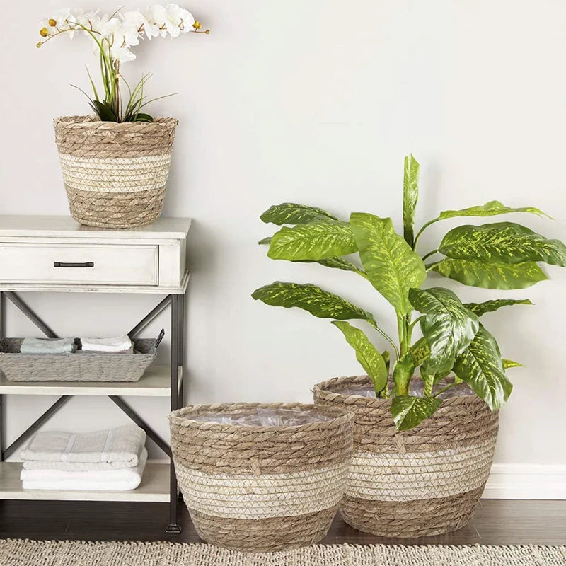 Handwoven Straw Planter Basket for Indoor Plants