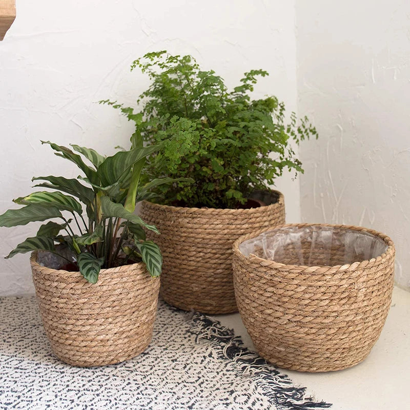 Handwoven Straw Planter Basket for Indoor Plants